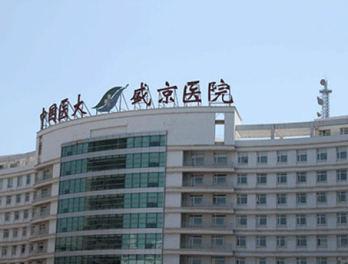 中国医科大学附属盛京医院 ( 沈阳盛京医院)