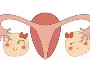 两个卵巢为什么只能排出一颗卵?说出来很意外