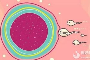 高龄女性想怀孕没有优势卵泡，该怎么办？