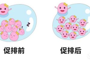 50岁高龄，在马来西亚做试管婴儿，如何提高成功率？