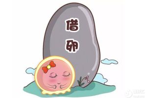 用别人的卵泡做试管费用多少？