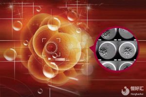 正常人做供卵试管婴儿成功率是多少？广州生殖专家详细解答！