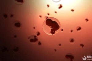 做试管婴儿前，要注意这5大措施