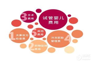 试管婴儿的费用是怎么算的？