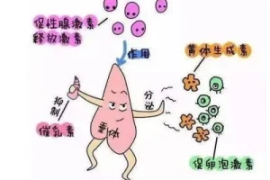 做试管一定要降调吗？降调与不降调各自的优势