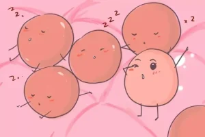 试管婴儿「方案详解」：什么是黄体期方案？