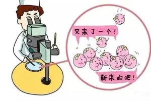 试管婴儿「方案详解」：什么是短方案？