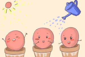 基础卵泡只有三个，做试管婴儿能成功吗？