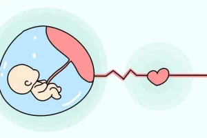 试管婴儿胚胎移植后要注意什么？