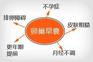 卵巢早衰三大问：有什么症状？怎么治疗？可以做试管吗？