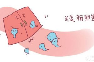 这些症状千万别忽视! 警惕输卵管堵塞致不孕