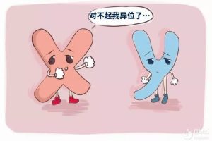 染色体平衡易位做第三代试管如何提高成功率？