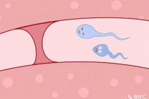 怎么证明你输卵管是通的？堵塞了应该怎么办？