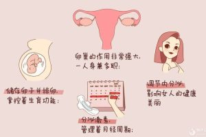 人年轻，卵巢却老了，为什么会卵巢早衰？还能怀孕吗？