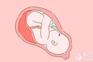 何为不孕？影响怀孕的因素你都了解了吗？