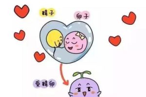 如何证明输卵管是通畅状态？