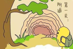 医生，我听到很多人说不要轻易做输卵管造影，是真的吗？