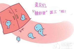输卵管“罢工”！卵子和精子怎么见面？