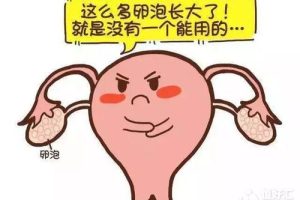 卵泡越大代表越好？你要注意的可能是这三件事
