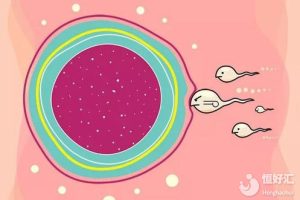 卵泡过小不能生孩子？或许你可以这样做