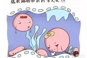 输卵管积水不能治？假信息！