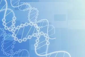 私立托儿所可以按天数收费吗？