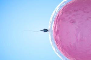 青医附院供卵 要排几个小时？