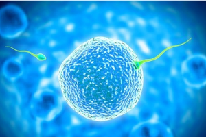 医生选副主任好吗？