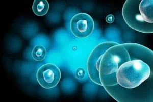 取卵十一个三天后一般有几个优质胚胎正常？