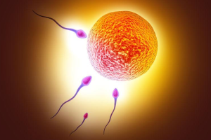 2025移植冻胚和鲜胚后哪个用测试纸测出来的早？