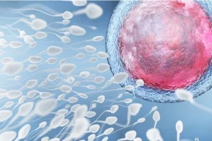 2025湖北宝宝上户口改姓需要改出生证明吗？