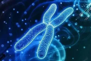 山东脐带血附带的平安保险只保到5岁吗？