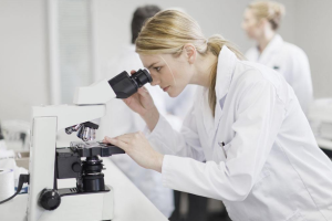 肚子胀可以移植三天鲜胚吗？