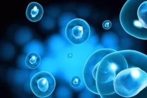 2025青岛市立医院生殖科供精人授可以报销吗？