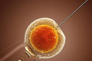 青岛市立医院三代供卵 要排队多久？