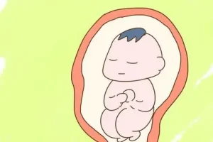 青岛市立医院供精挂什么号？