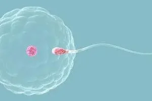 单身女性可以在国内私立医院冻卵泡吗？