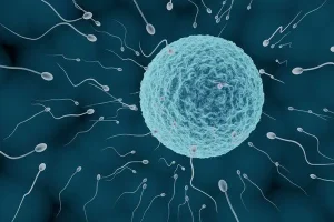 四川内江市妇幼保健院显微取精费用多少？