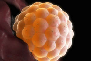 2025男员工试用期请陪产假影响转正吗？