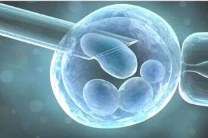 囊胚移植三天着床囊胚质量怎么样？