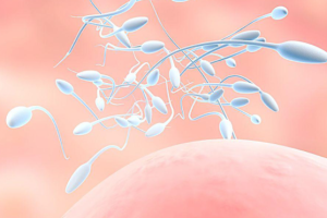 山东青医附院生殖科人工受孕手术流程是什么？