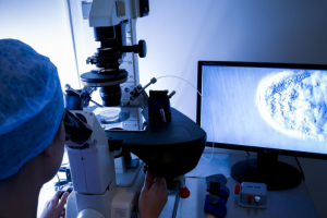 单绒单羊容易生女孩吗？