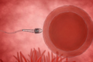 2025山东青岛市立医院供精人工授精需要多少钱？