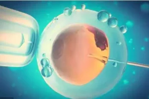 冻胚移植进人工周期大概要去医院做几次检查？