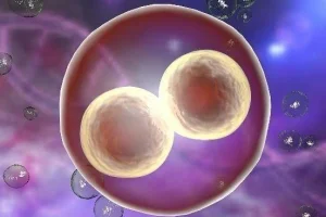 兰思诺储奶袋怎么倒出来？