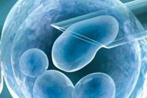 卵裂期胚胎解冻后还可以养囊吗？