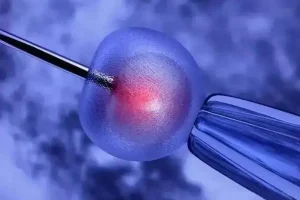 取完卵是当时检测卵子吗？