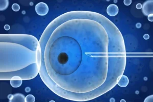 2025美国未婚生子离异可获政府补贴吗？