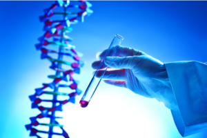 为什么三天鲜胚第一次移植成功率低呢？