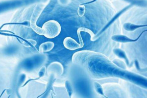 2025年绵阳职工生三胎新政策奖励一个月多少钱？